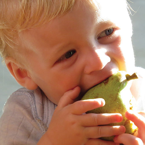 Basic tips on introducing solids